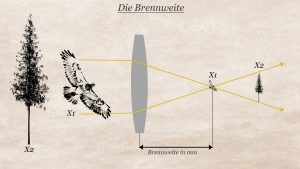 Read more about the article Brennweite und Bildausschnitt